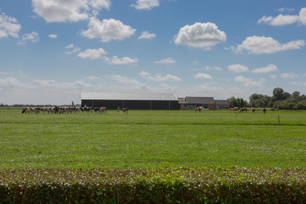 Welcome In - De Grote Geere Oostkapelle Zewnętrze zdjęcie